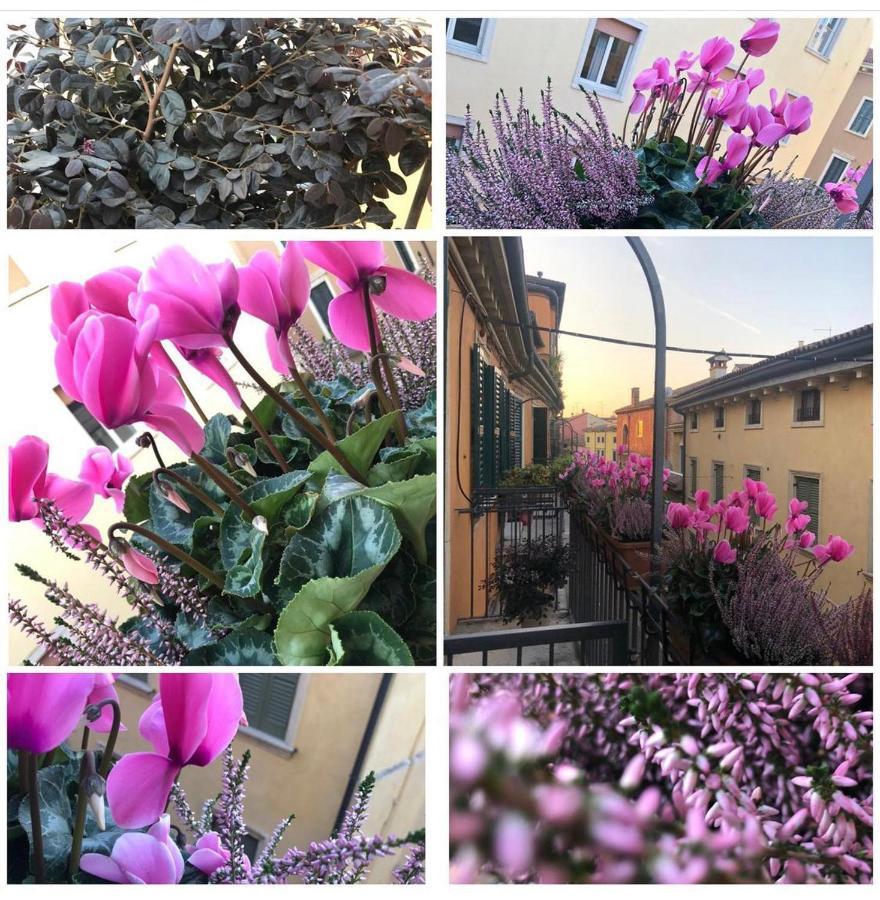 Veronantica B&B Bagian luar foto